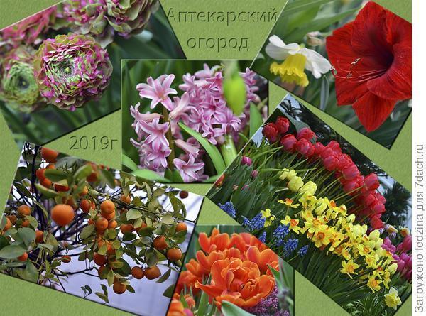 Репетиция весны